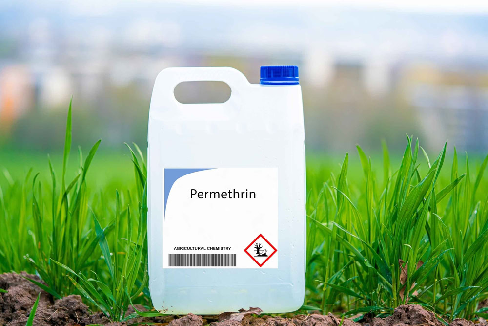 Is Permethrin Safe For Dogs? Facts, Advice & Usage (Vet Answer)