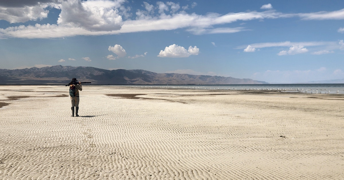 A Day in the Field with Intermountain West Shorebird Surveyors