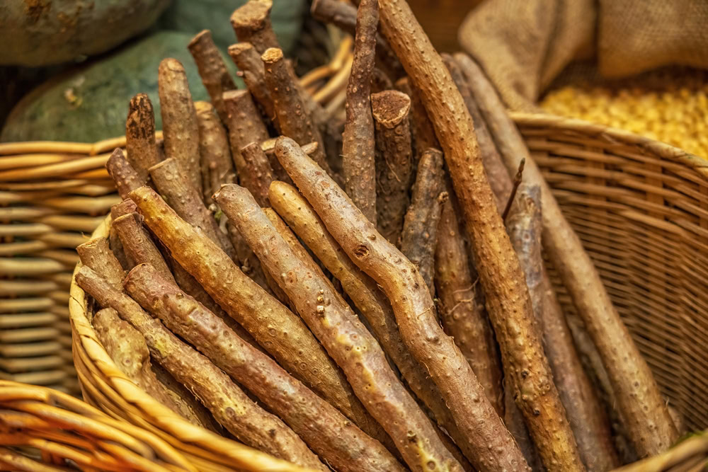 Burdock Root for Dogs: Vet Reviewed Uses, Potential Benefits & Side Effects