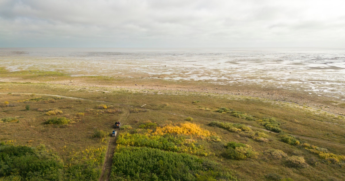 First Nations Are On the Cusp of a Big Marine Conservation Win in Canada—and They Have Even Bigger Plans